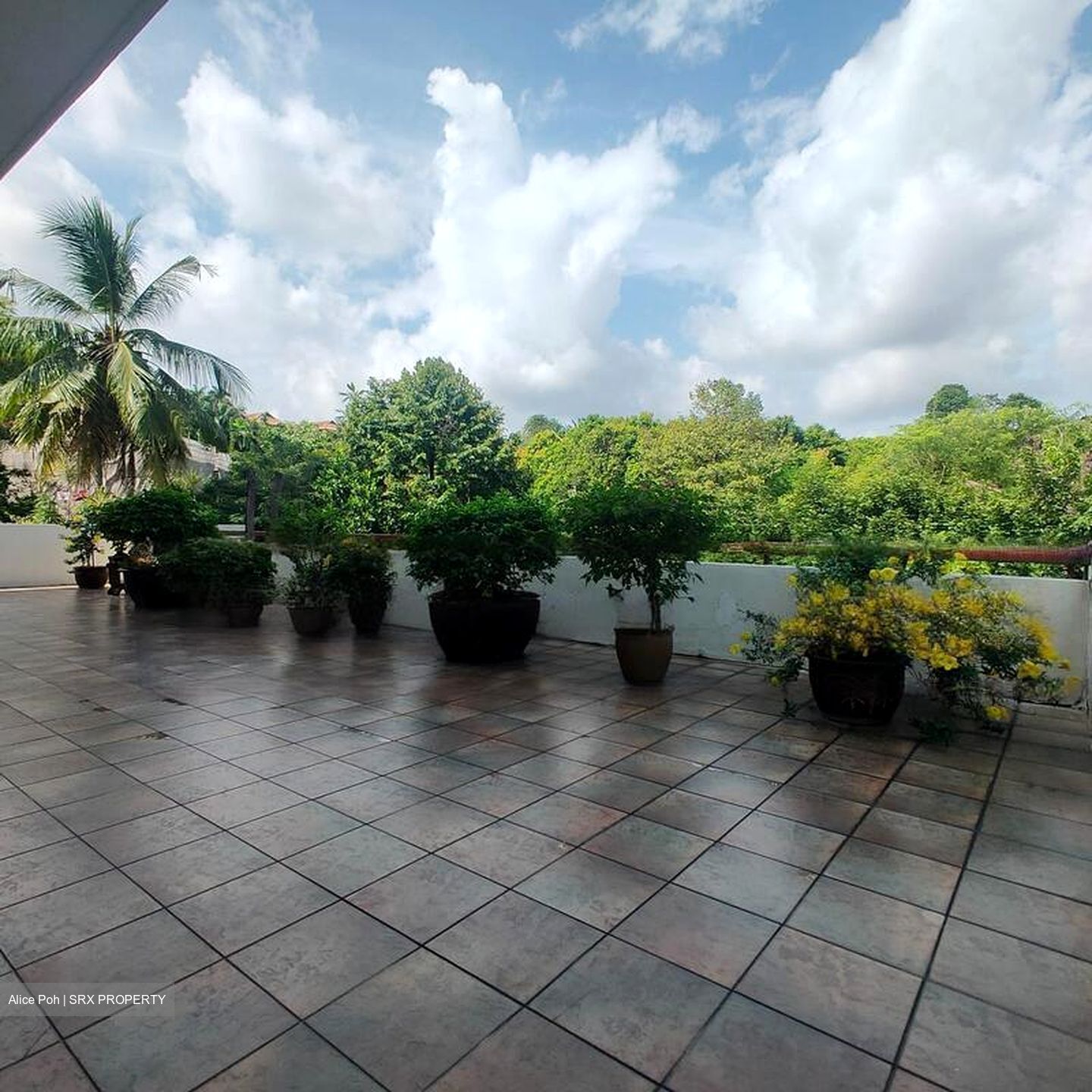 White House Park (D10), Detached #464110331